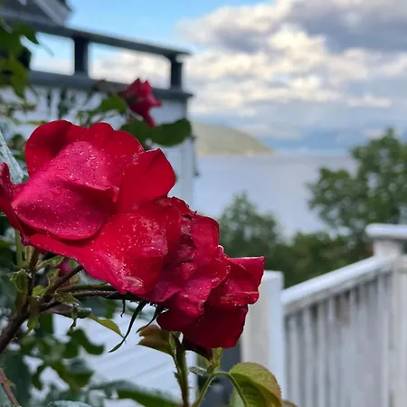 Feriehus House With Stunning Fjord View In